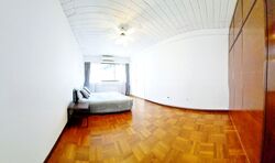 The Cairnhill (D9), Condominium #554912891